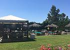 IMG 7078