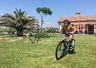 IMG 7184