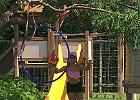 IMG 7194