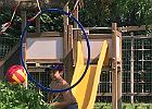 IMG 7199