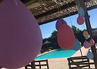 IMG 7294