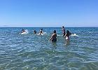 IMG 7443