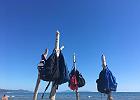 IMG 7464
