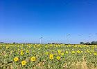 IMG E7055