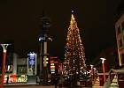 IMG 7658