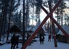 IMG 7003