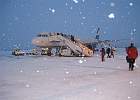 IMG 1649