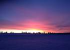 IMG 4799