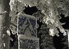 IMG 5850