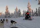 IMG 7055