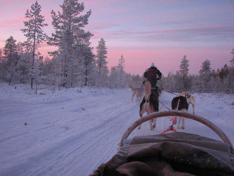 Husky safari '10 202
