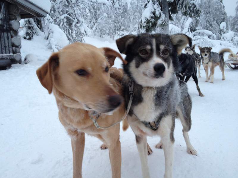 IMG 4821