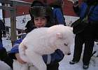 IMG 1548