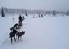 IMG 4812