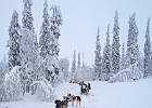 IMG 4827