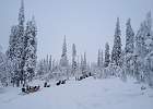 IMG 4829
