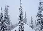 IMG 4830