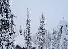 IMG 4833