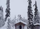 IMG 4843