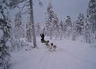 IMG 5893