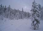 IMG 5896