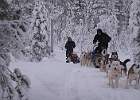IMG 5903