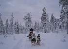 IMG 5910
