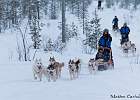 Safari con gli Husky
