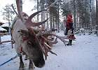 IMG 5796