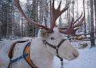 IMG 5798