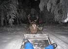 IMG 5867
