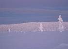 IMG 5998