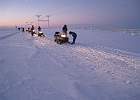 IMG 5999