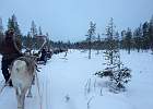 IMG 4665