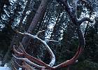 IMG 4671