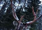IMG 4672