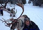 IMG 4687