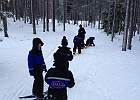 IMG 4695
