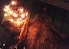 IMG 4716