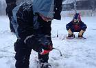 IMG 7167