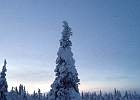IMG 7193