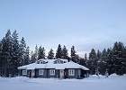 IMG 7194