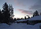 IMG 7195