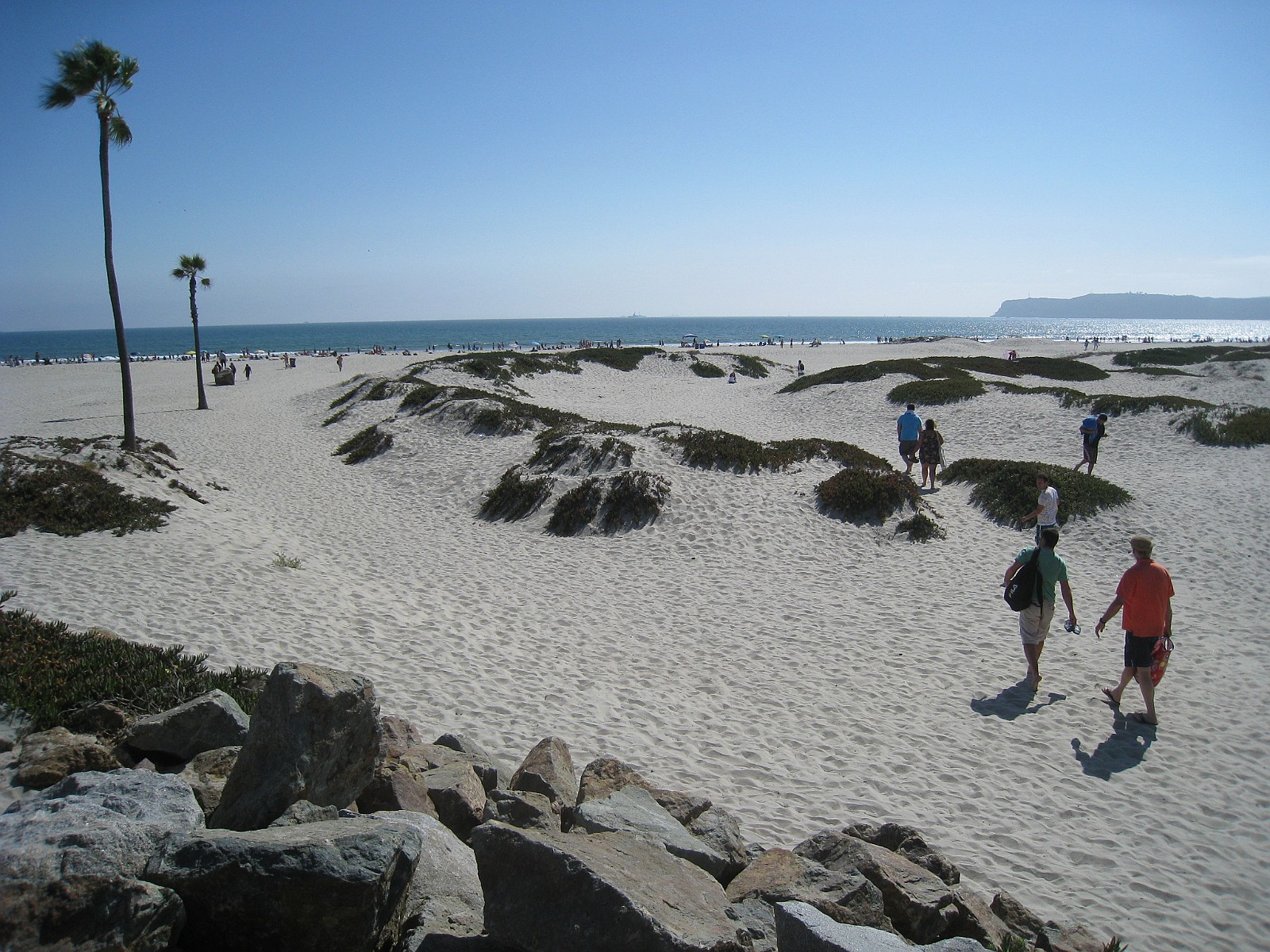 IMG 0689