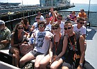 IMG 0681