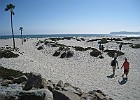 IMG 0689