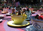 IMG 0772