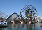 IMG 0804
