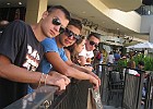 IMG 0864