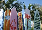 IMG 0948